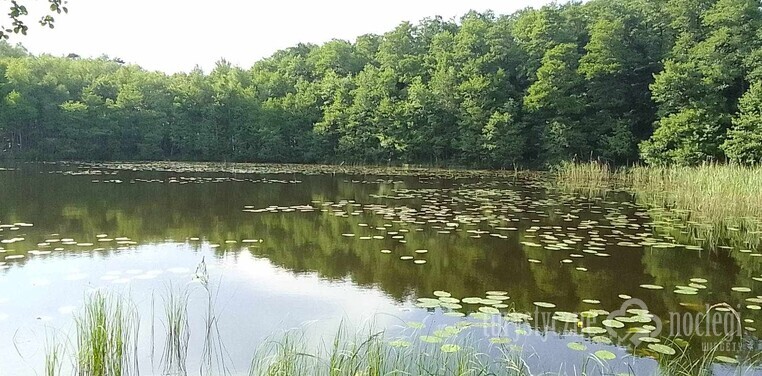 Domki całoroczne | Szczecin - domek letniskowy nad jeziorem