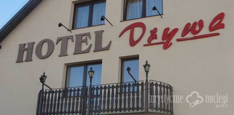 Hotel Drywa | Stegna - hotel nad morzem