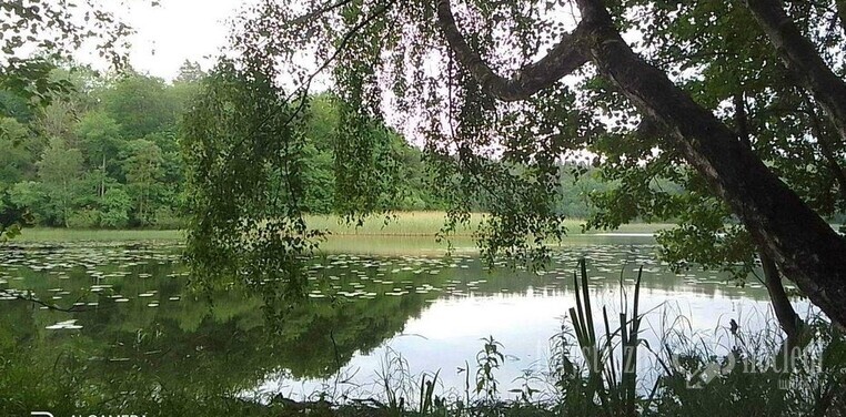 Domki całoroczne | Szczecin - domek letniskowy nad jeziorem