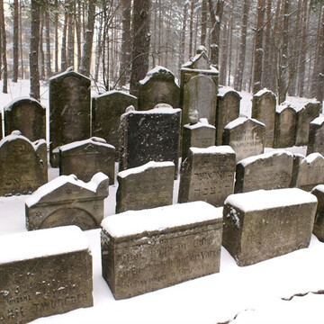 Cmentarz żydowski w Kobylej Górze