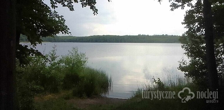 Domki całoroczne | Szczecin - domek letniskowy nad jeziorem